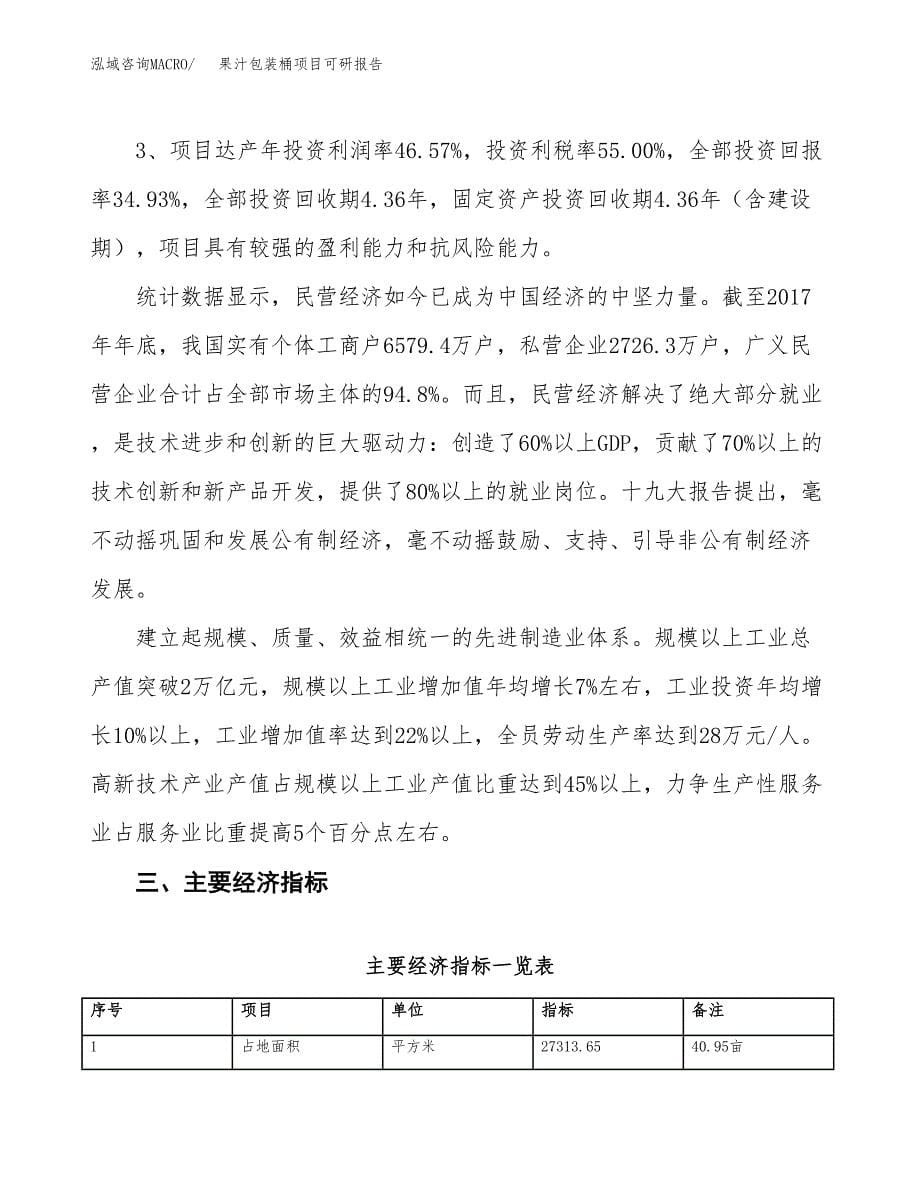 果汁包装桶项目可研报告（立项申请）_第5页