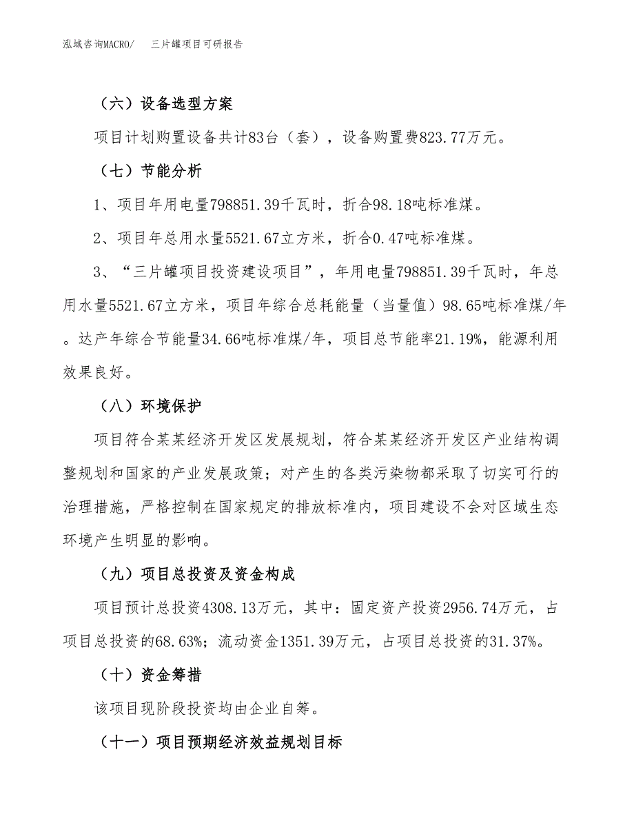 三片罐项目可研报告（立项申请）_第3页