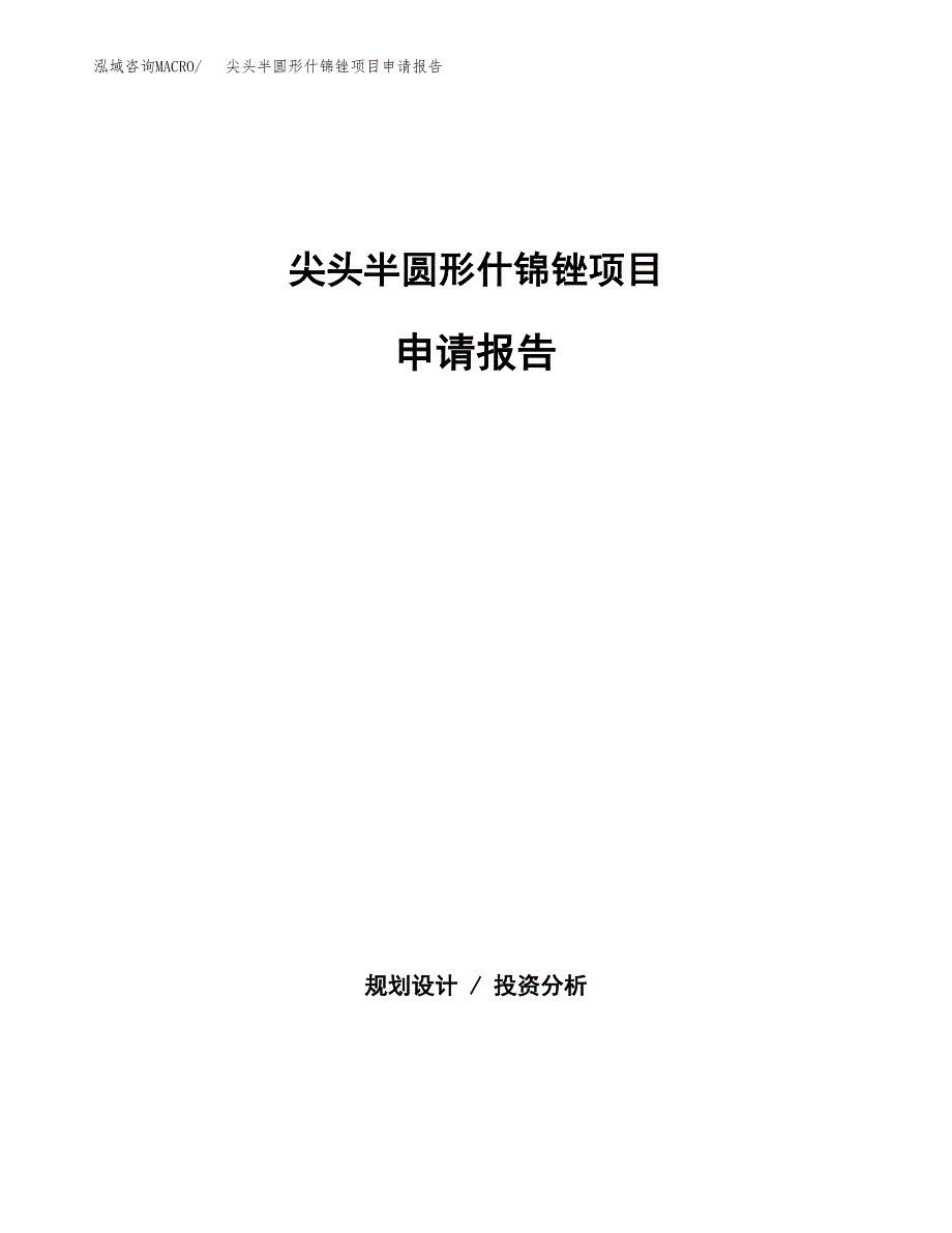 尖头半圆形什锦锉项目申请报告范文（总投资16000万元）.docx_第1页