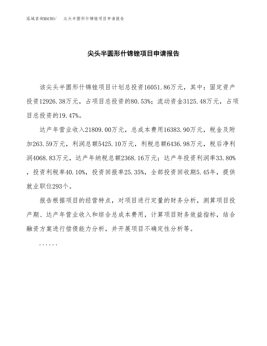 尖头半圆形什锦锉项目申请报告范文（总投资16000万元）.docx_第2页