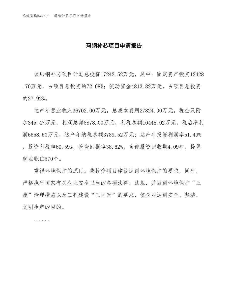 玛钢补芯项目申请报告范文（总投资17000万元）.docx_第2页