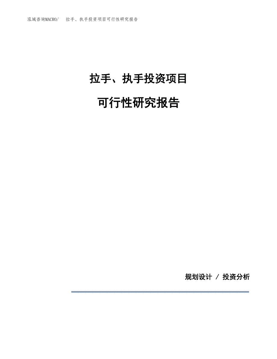 拉手、执手投资项目可行性研究报告2019.docx_第1页