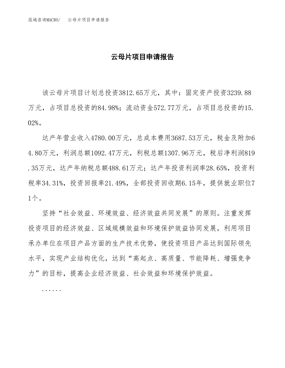 云母片项目申请报告范文（总投资4000万元）.docx_第2页