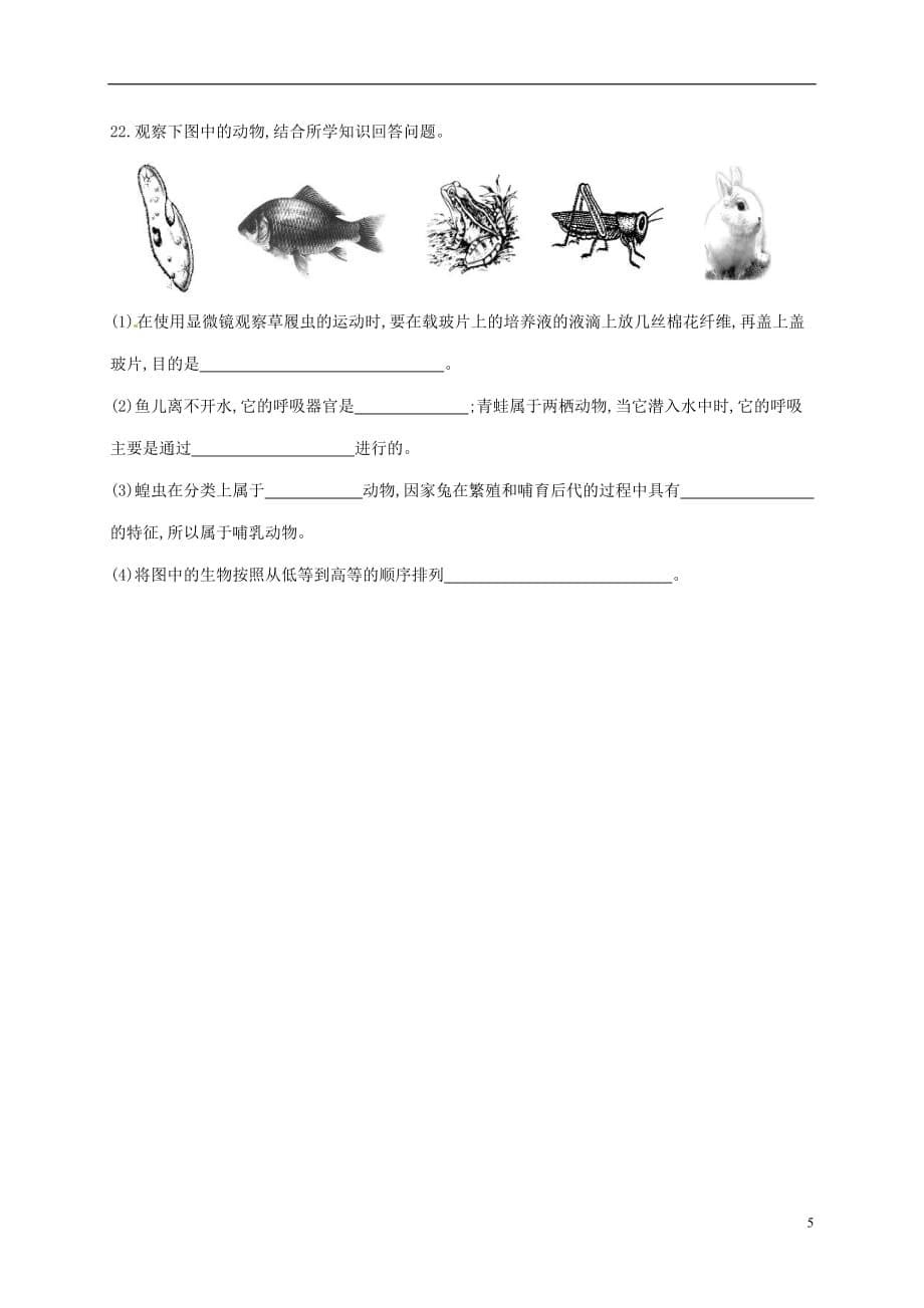 山东省八年级生物上册 第5单元 第1章 动物的主要类群习题（无答案）（新版）新人教版_第5页