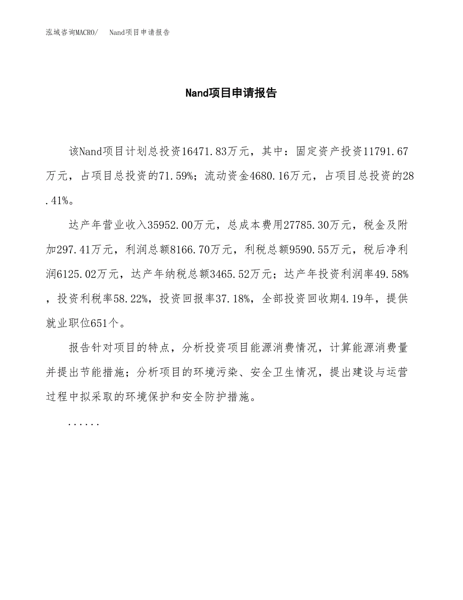 Nand项目申请报告范文（总投资16000万元）.docx_第2页