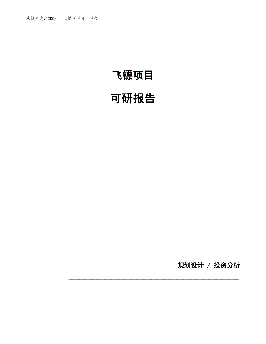 (2019)飞镖项目可研报告模板.docx_第1页