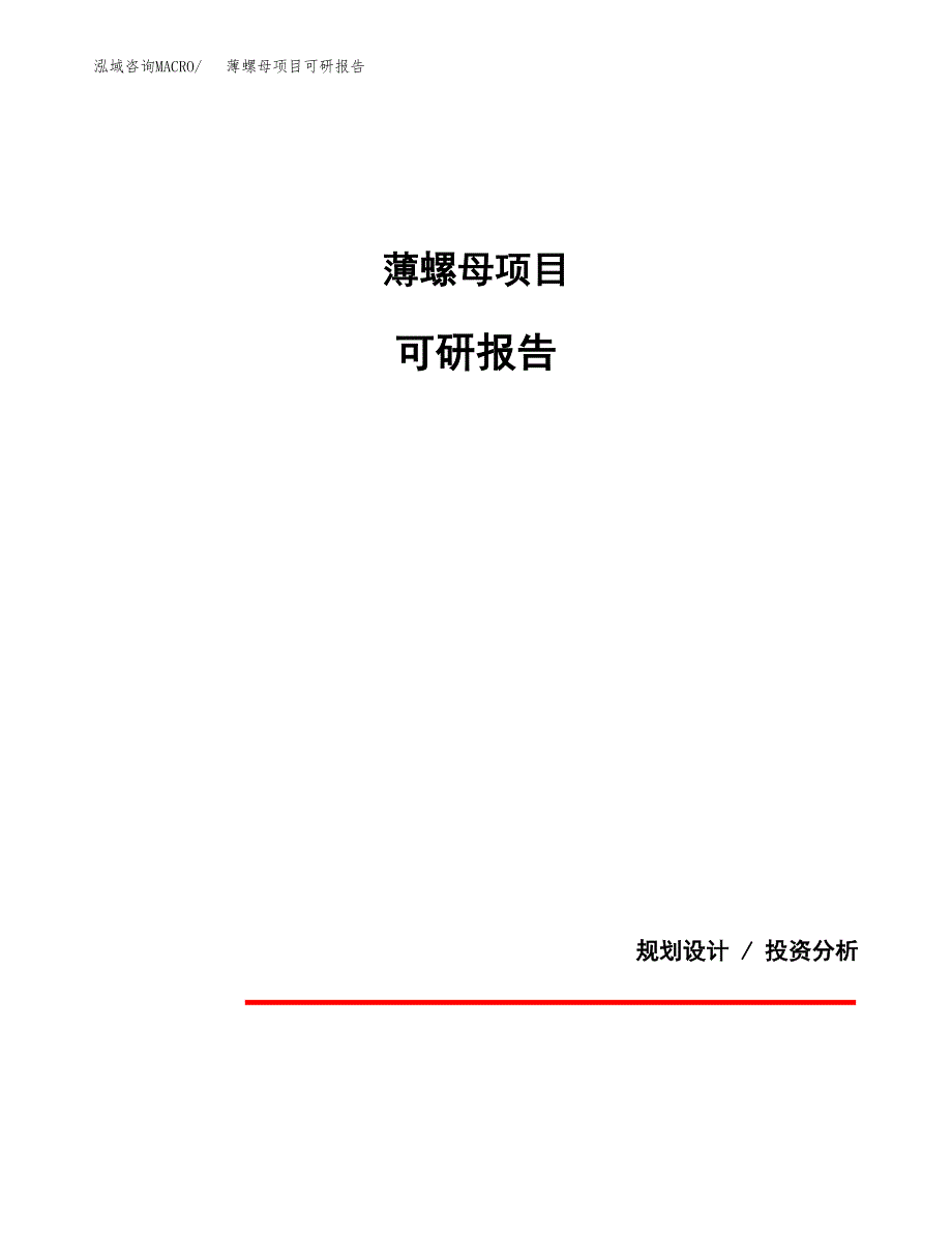 (2019)薄螺母项目可研报告模板.docx_第1页