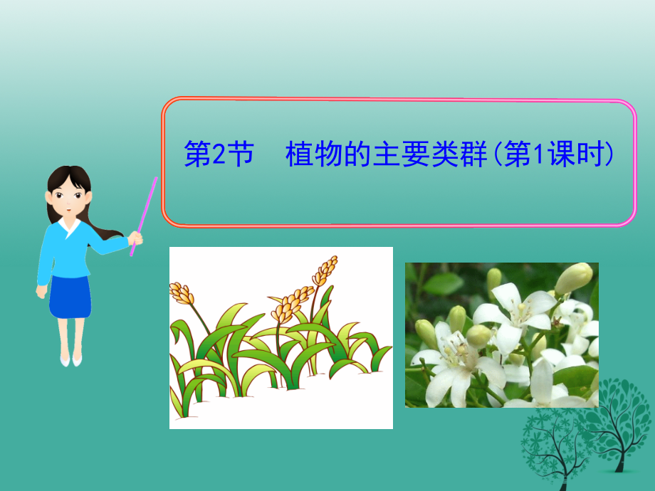 广东省南雄市澜河陈经纶学校八年级生物下册 22.3 植物的主要类群课件 北师大版_第1页