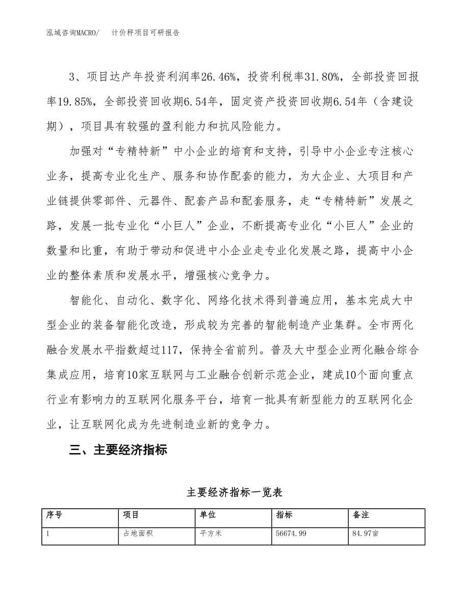 计价秤项目可研报告（立项申请）_第5页