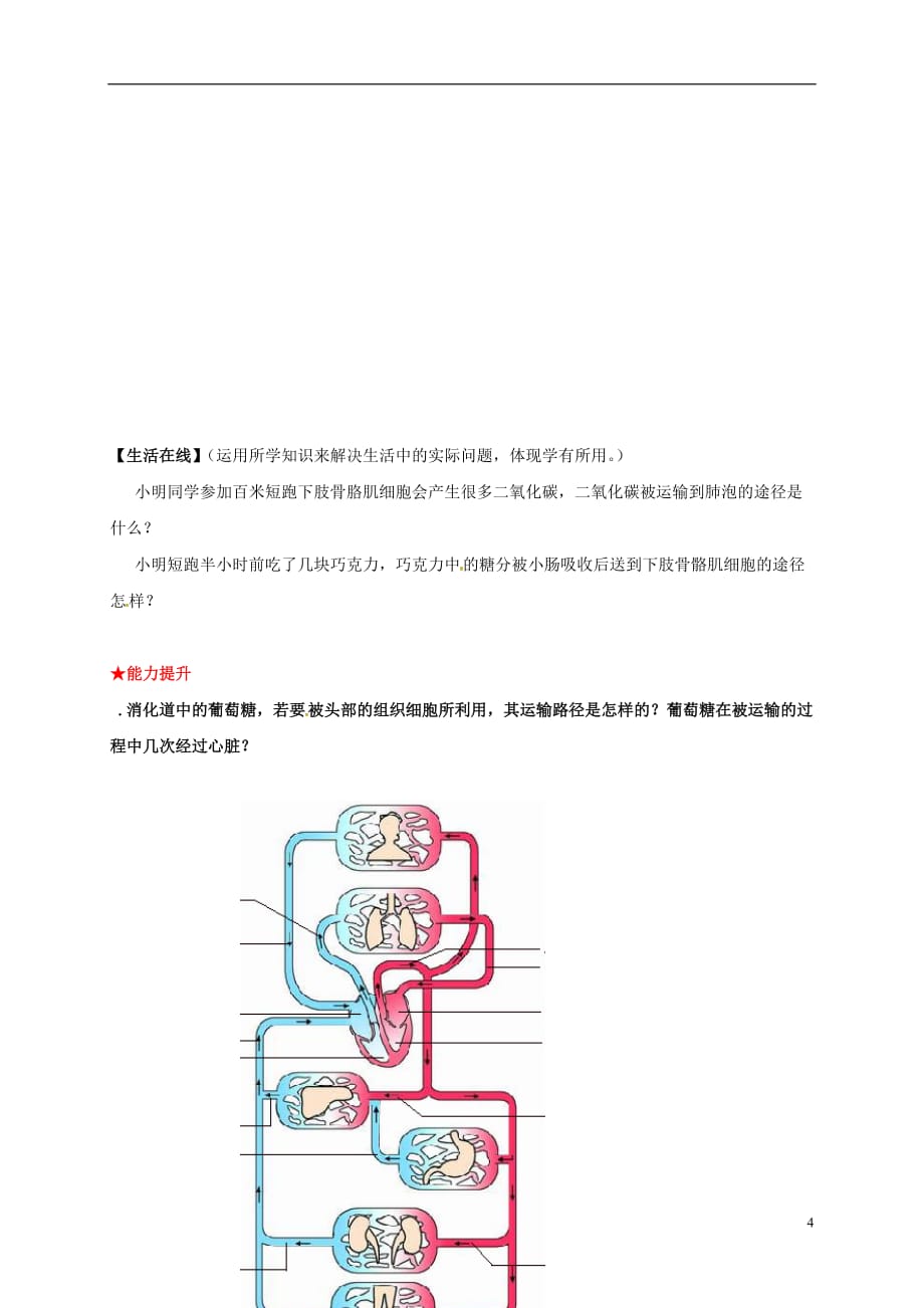 山东省乐陵市七年级生物下册 3.3.3 物质运输的途径学案（无答案）（新版）济南版_第4页