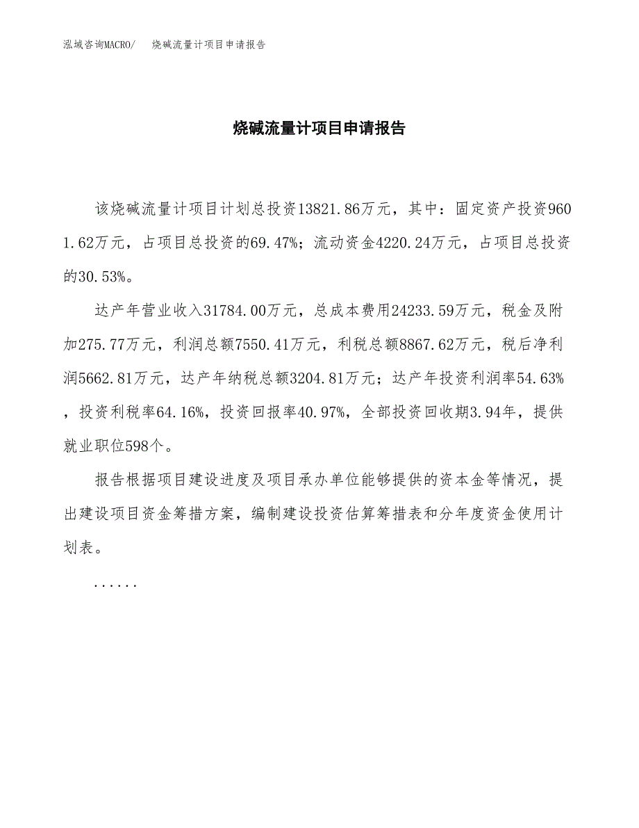 烧碱流量计项目申请报告范文（总投资14000万元）.docx_第2页