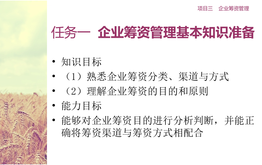 企业筹资管理课件.ppt_第3页