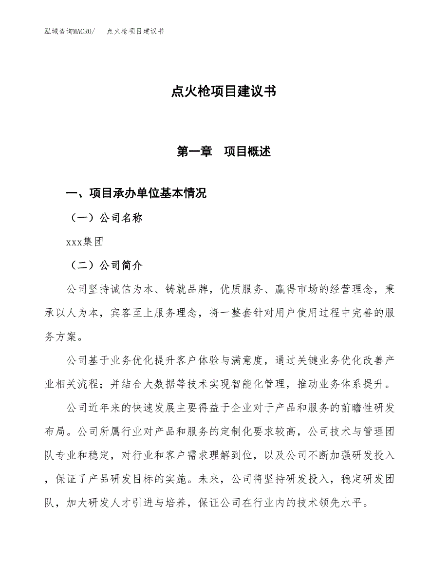 点火枪项目建议书范文模板_第1页