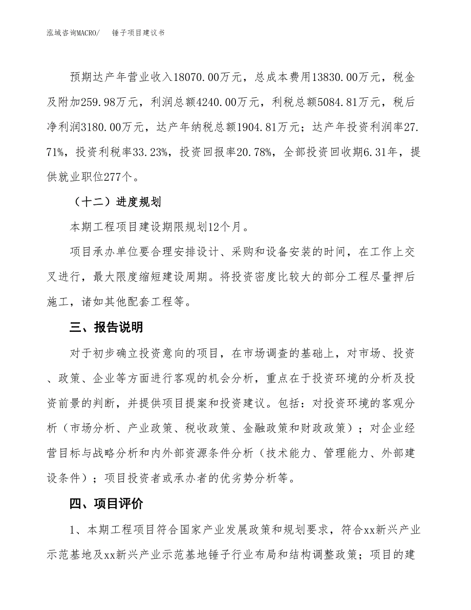 锤子项目建议书范文模板_第4页