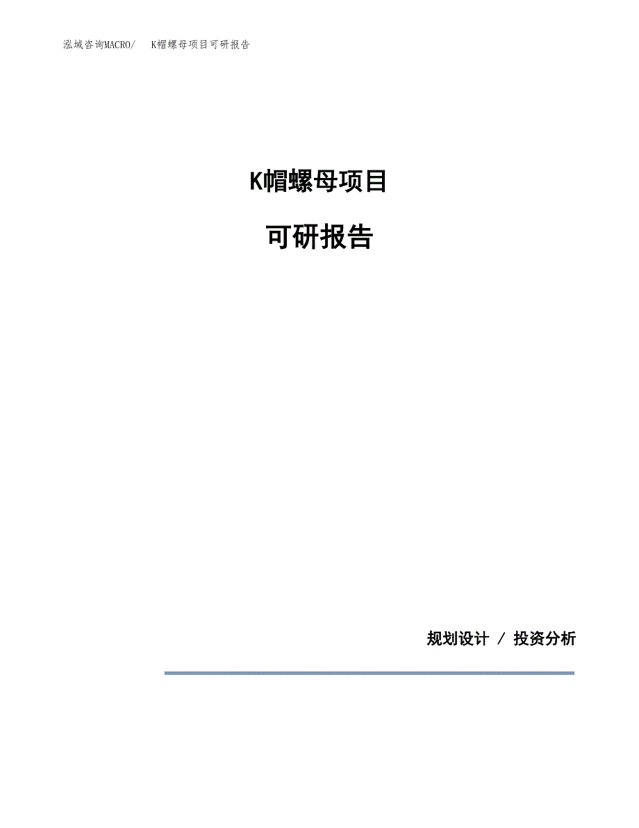 (2019)K帽螺母项目可研报告模板.docx_第1页