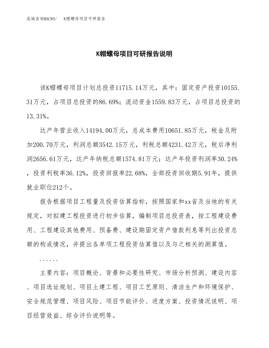 (2019)K帽螺母项目可研报告模板.docx_第2页