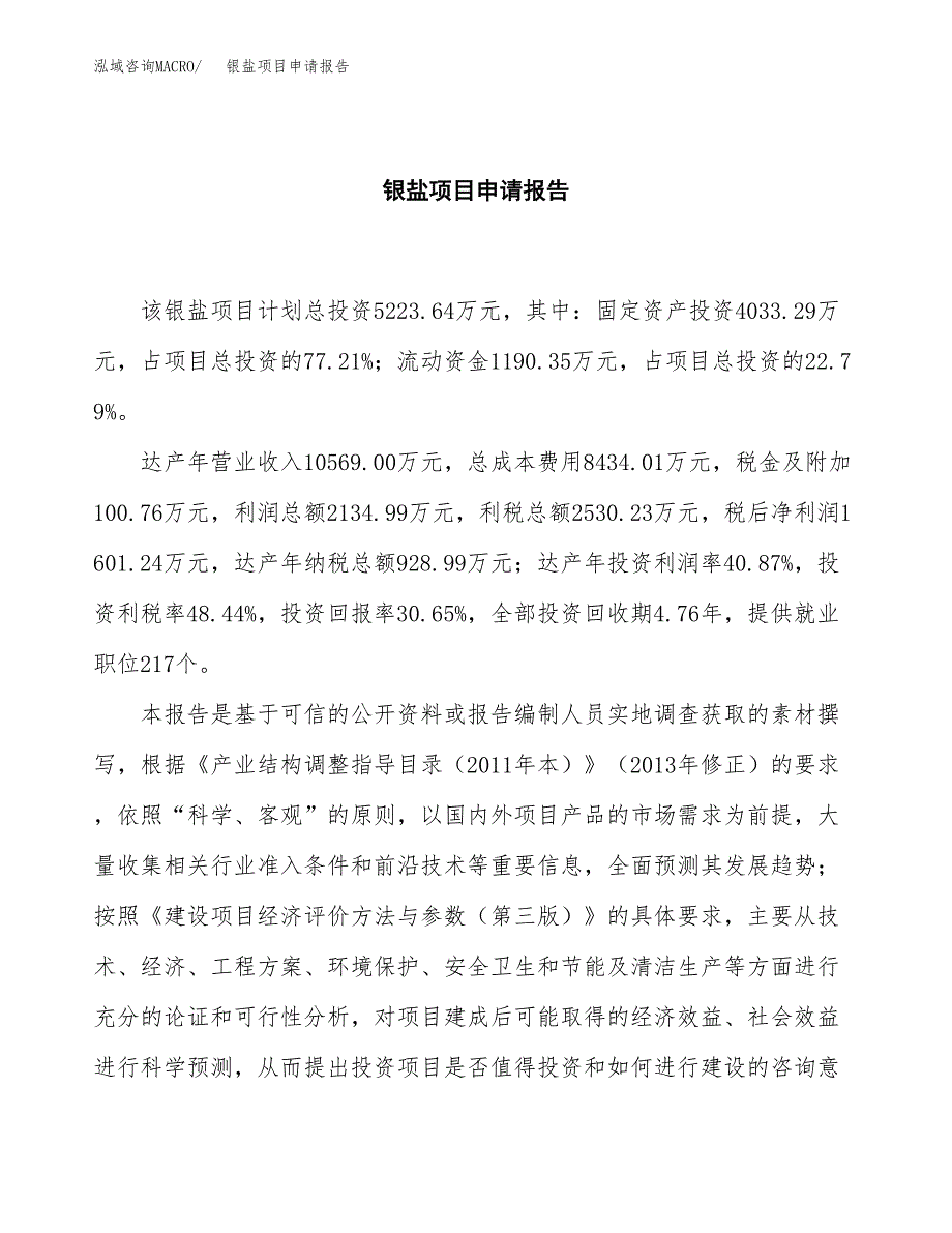 银盐项目申请报告范文（总投资5000万元）.docx_第2页