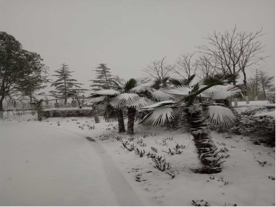 湖心亭看雪  (公开课课件)_第2页