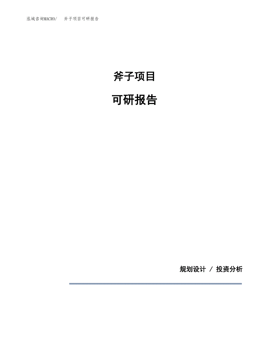 (2019)斧子项目可研报告模板.docx_第1页
