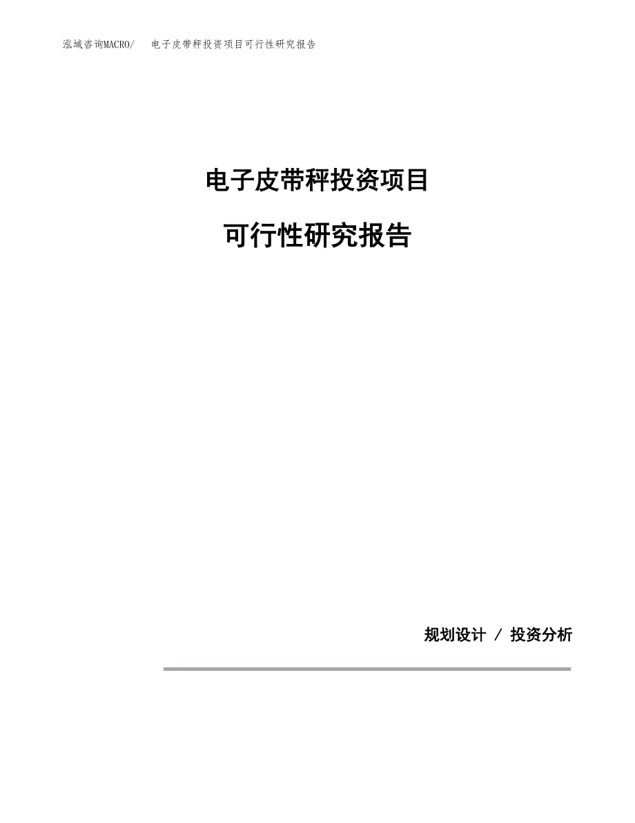 电子皮带秤投资项目可行性研究报告2019.docx_第1页