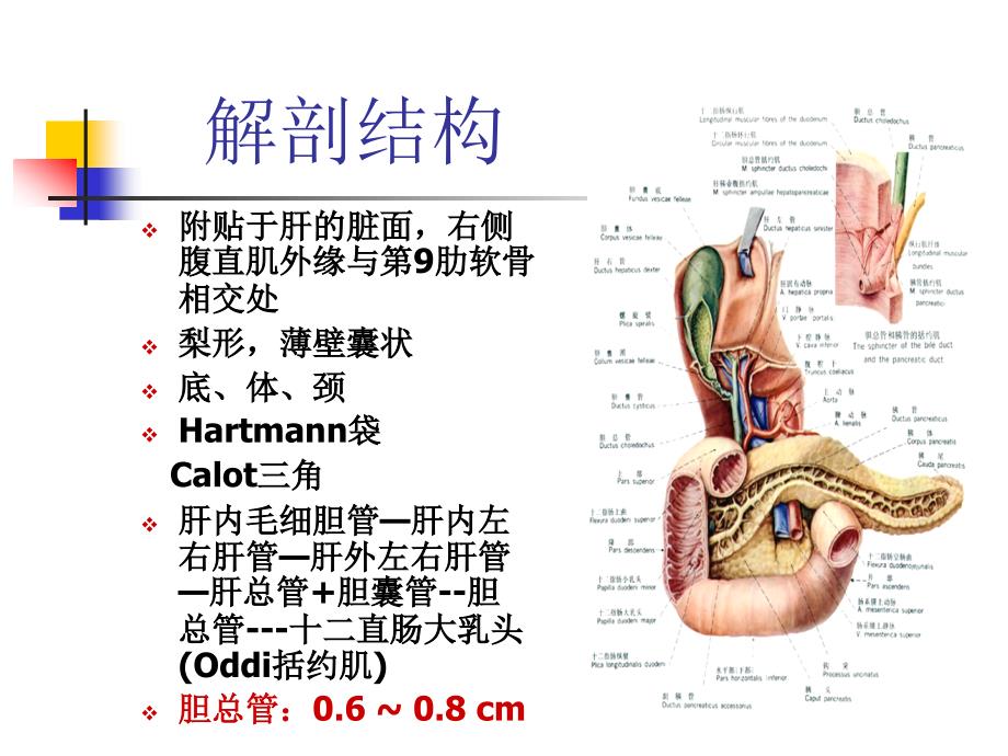 胆道疾病病人护理diseaseofbiliary幻灯片_第4页