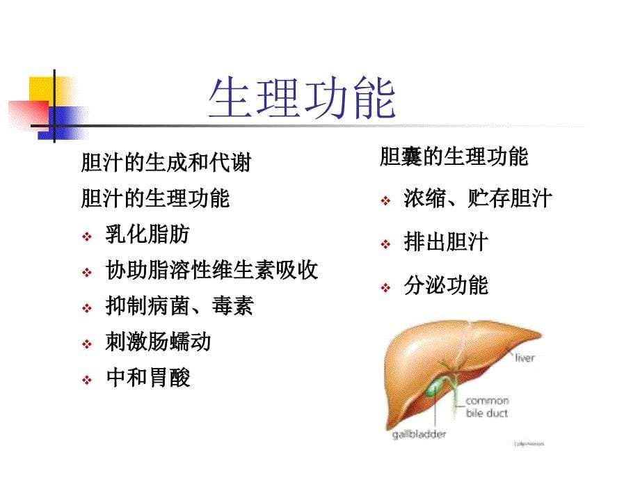 胆道疾病病人护理diseaseofbiliary幻灯片_第5页