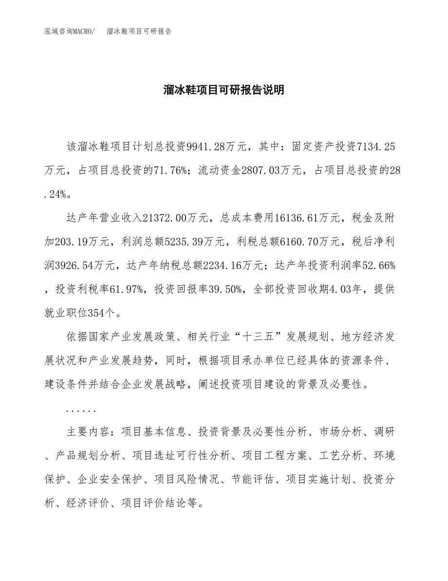 (2019)溜冰鞋项目可研报告模板.docx_第2页