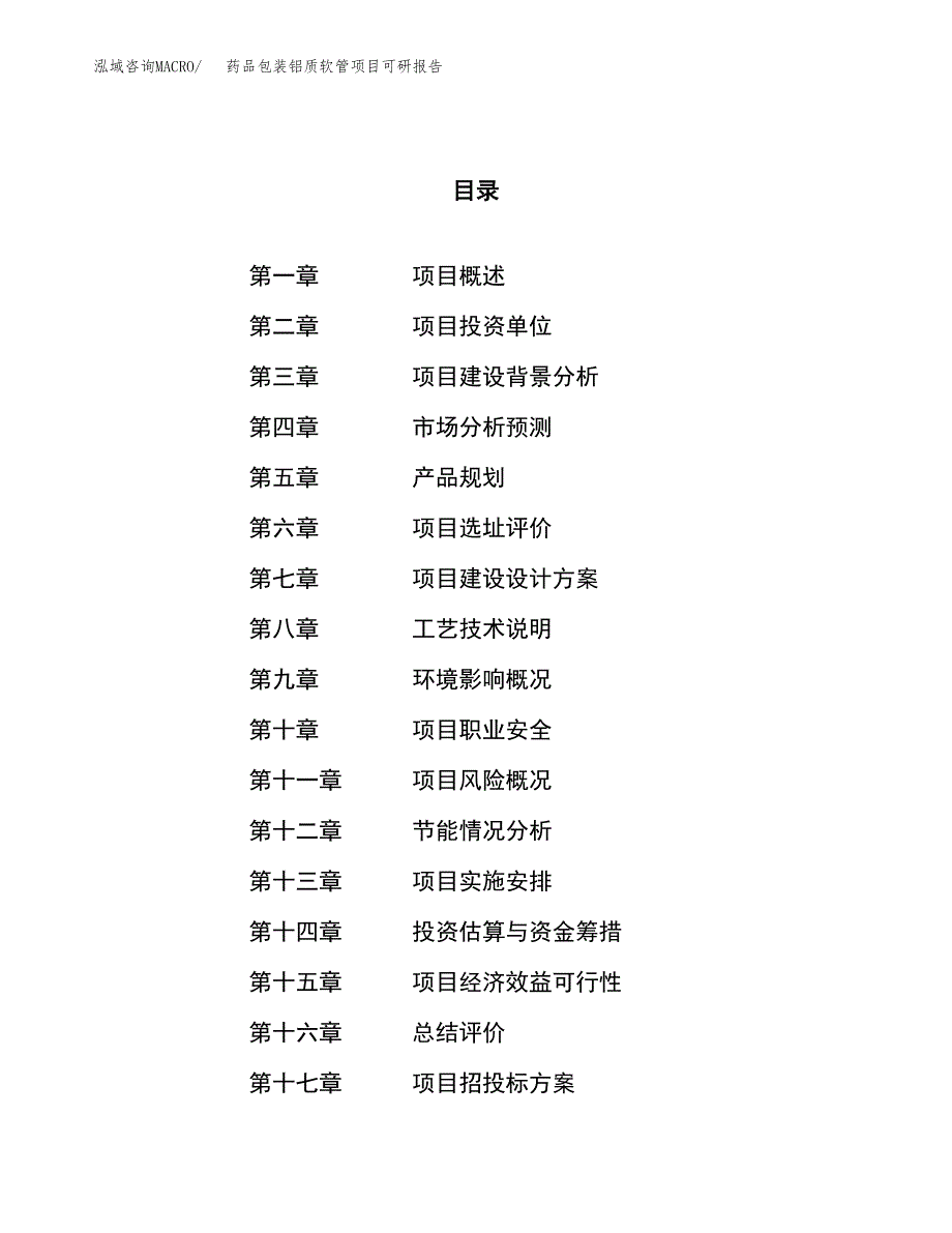 药品包装铝质软管项目可研报告（立项申请）_第1页