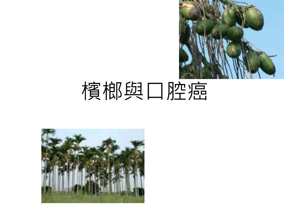 槟榔对健康的危害_第2页