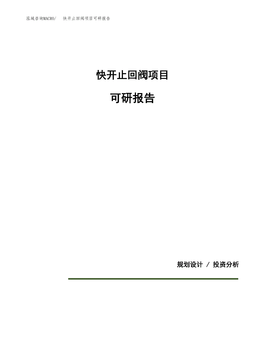 (2019)快开止回阀项目可研报告模板.docx_第1页