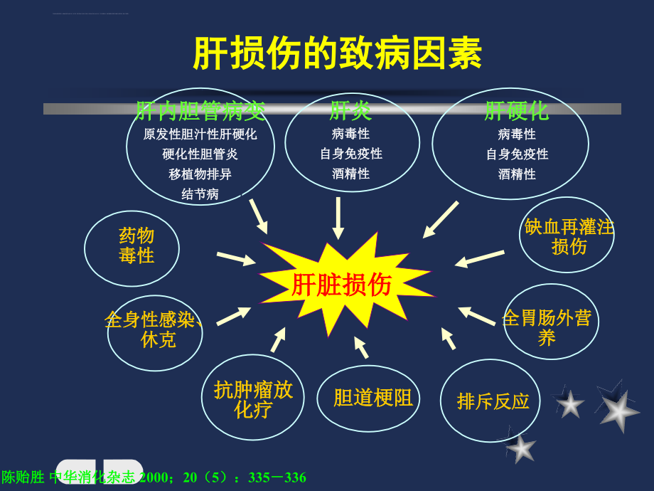 中毒性肝损害肝衰竭诊断与治疗.ppt_第3页