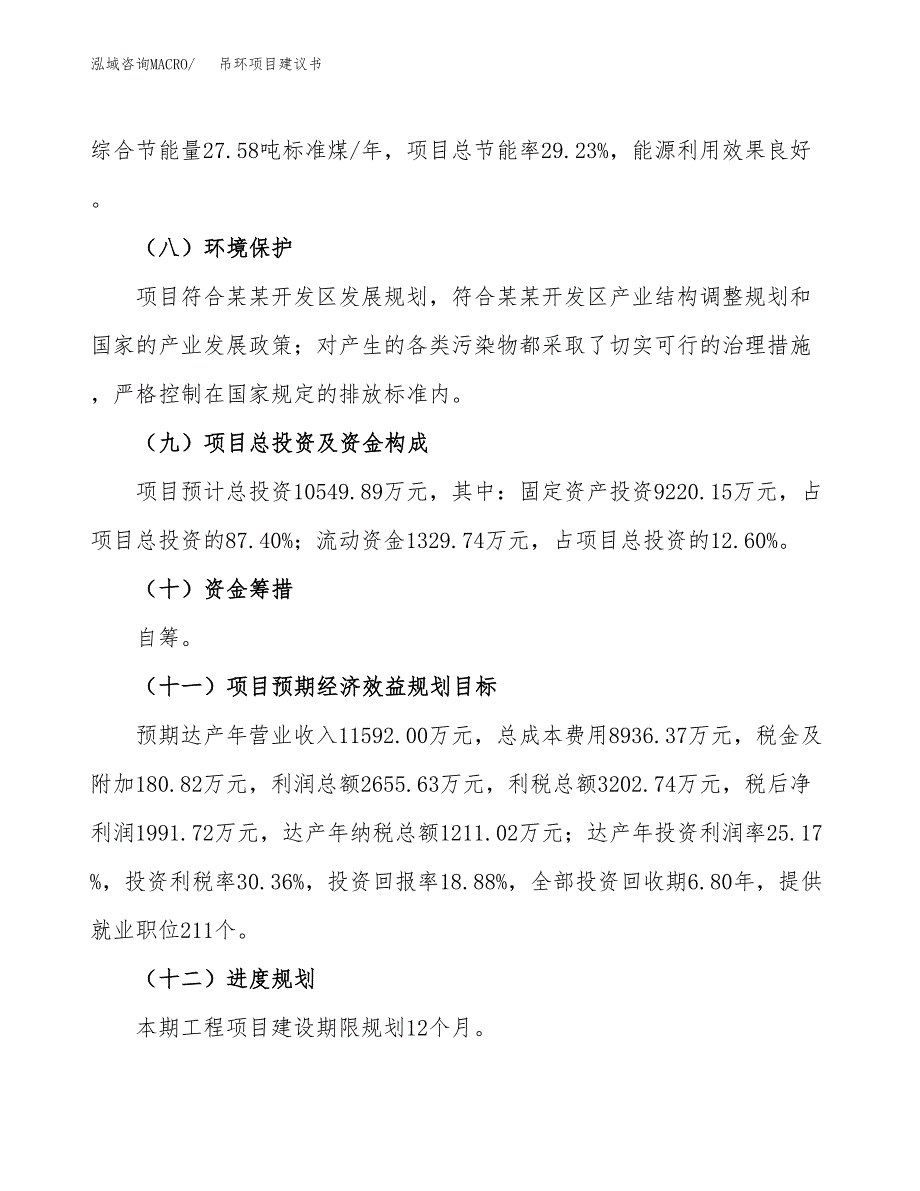 吊环项目建议书范文模板_第4页