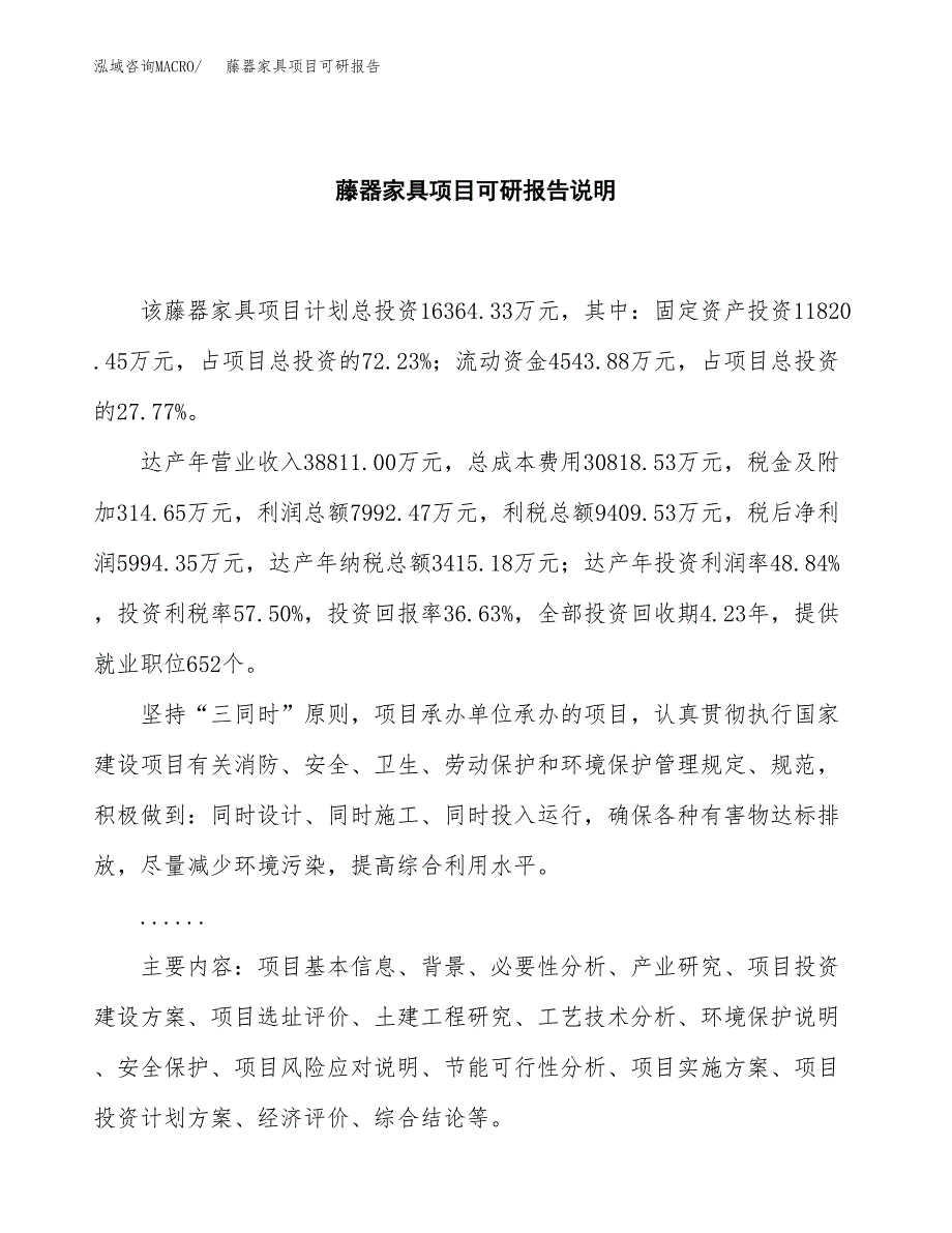 (2019)藤器家具项目可研报告模板.docx_第2页