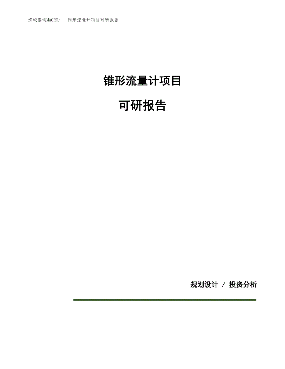 (2019)锥形流量计项目可研报告模板.docx_第1页