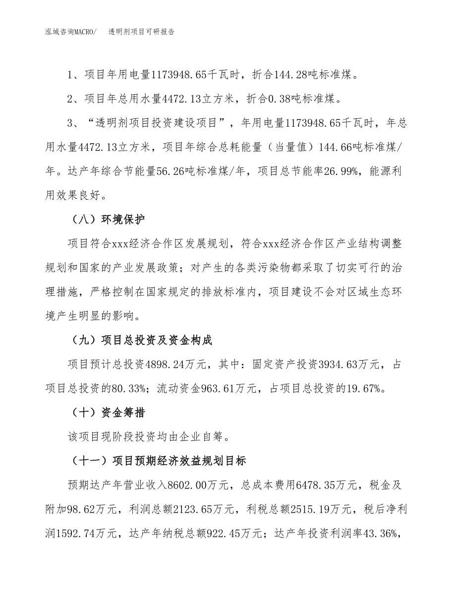 (2019)透明剂项目可研报告模板.docx_第5页