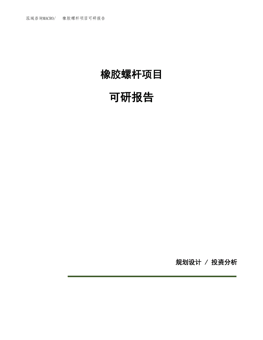 (2019)橡胶螺杆项目可研报告模板.docx_第1页