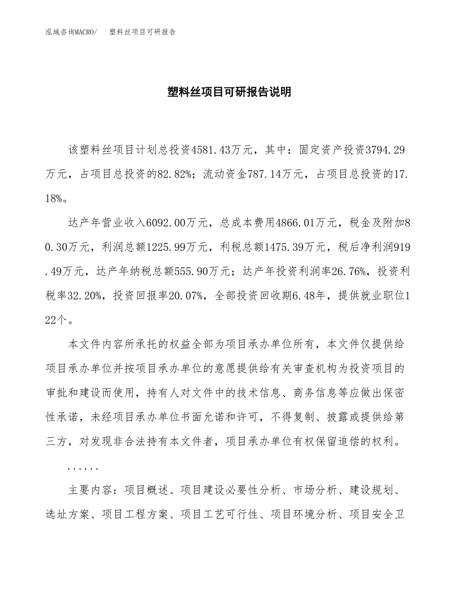 (2019)塑料丝项目可研报告模板.docx_第2页