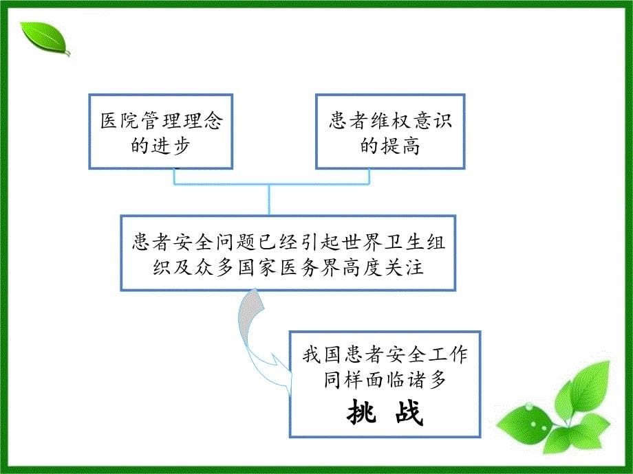 患者安全十大目标概论.ppt_第5页