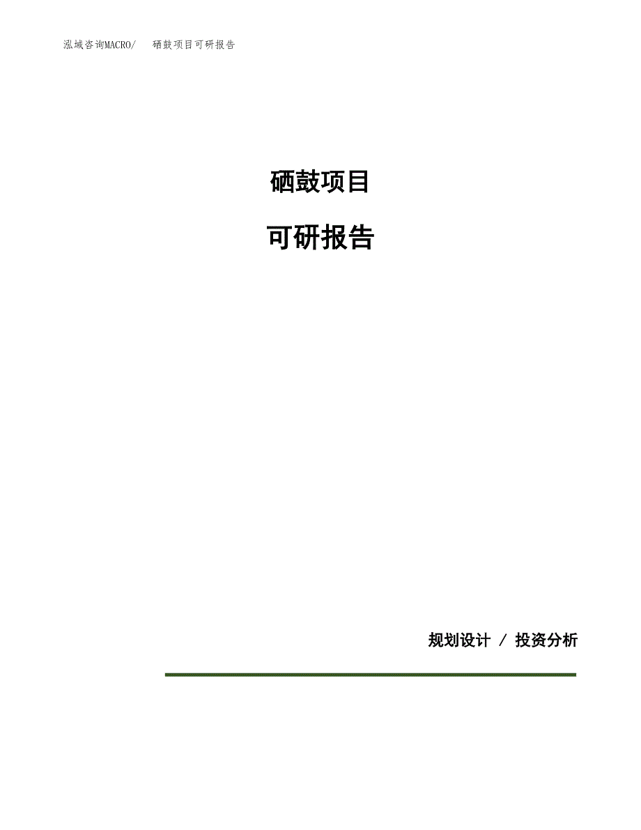 (2019)硒鼓项目可研报告模板.docx_第1页