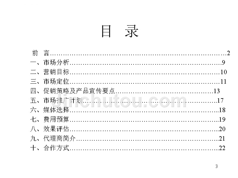 某白色家电北京地区推广策划书.ppt_第3页