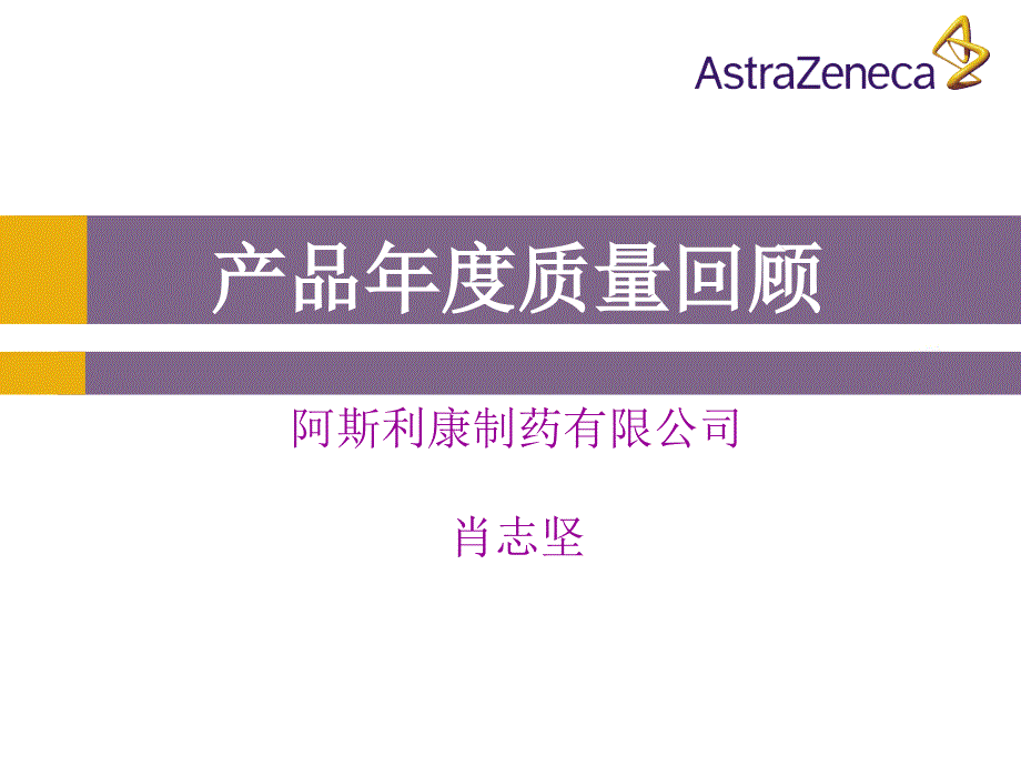 某制药有限公司产品年度质量回顾.ppt_第1页