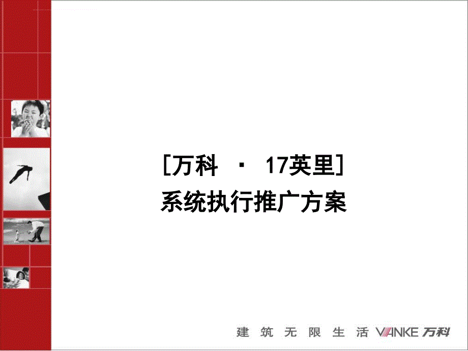 某公司系统执行推广方案.ppt_第1页