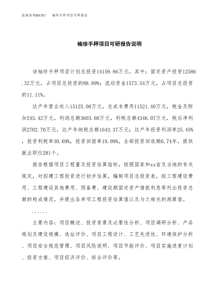 (2019)袖珍手秤项目可研报告模板.docx_第2页