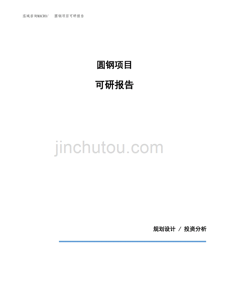 (2019)圆钢项目可研报告模板.docx_第1页