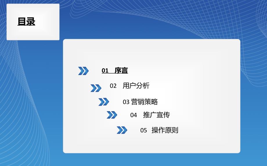 某公司流量经营营销方案.ppt_第2页