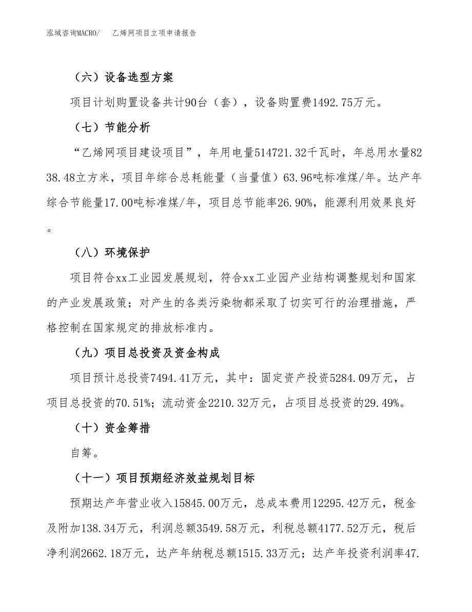 乙烯网项目立项申请报告（总投资7000万元）.docx_第5页