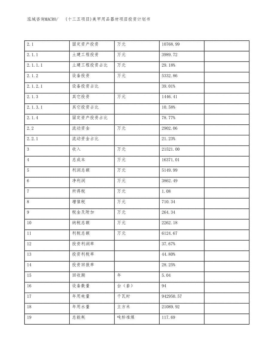 (十三五项目)美甲用品器材项目投资计划书.docx_第5页