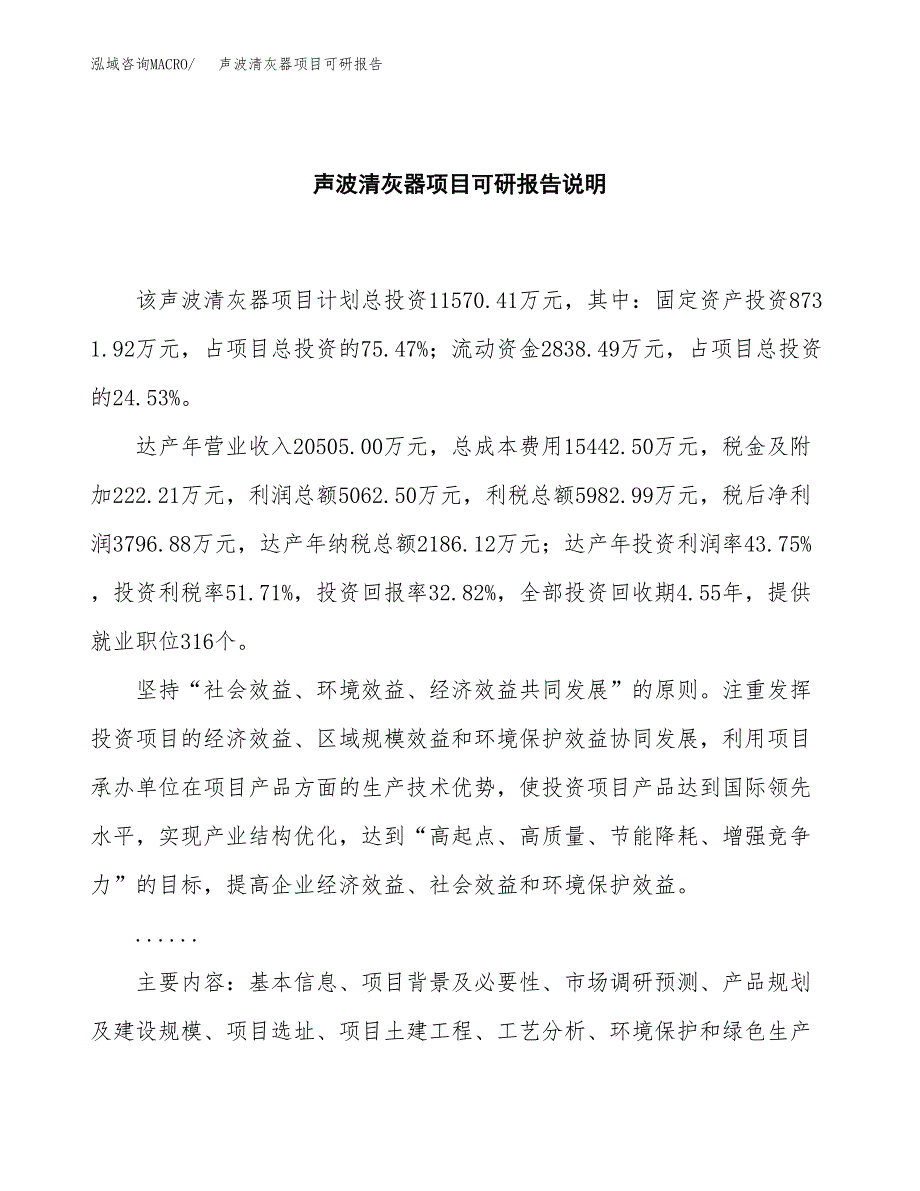 (2019)声波清灰器项目可研报告模板.docx_第2页