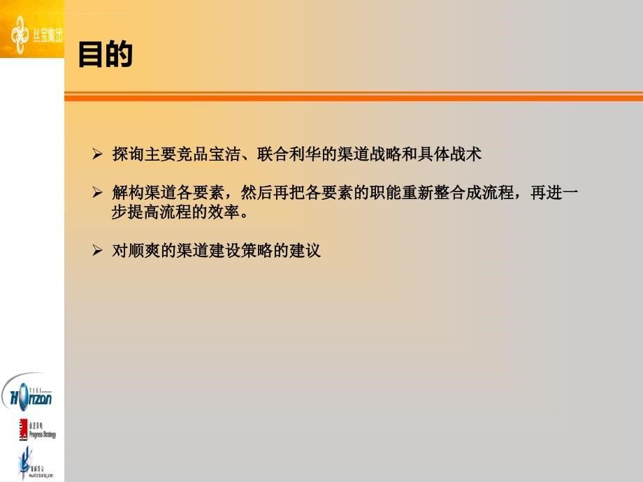 零点洗发水产品渠道研究报告.ppt_第5页