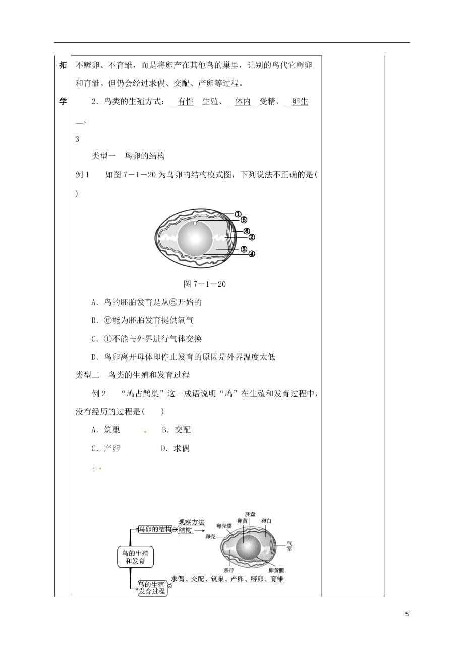 湖南省邵东县八年级生物下册 第七单元 第一章 第四节 鸟的生殖和发育学案（无答案）（新版）新人教版_第5页